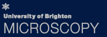 Brighton microscopy logo